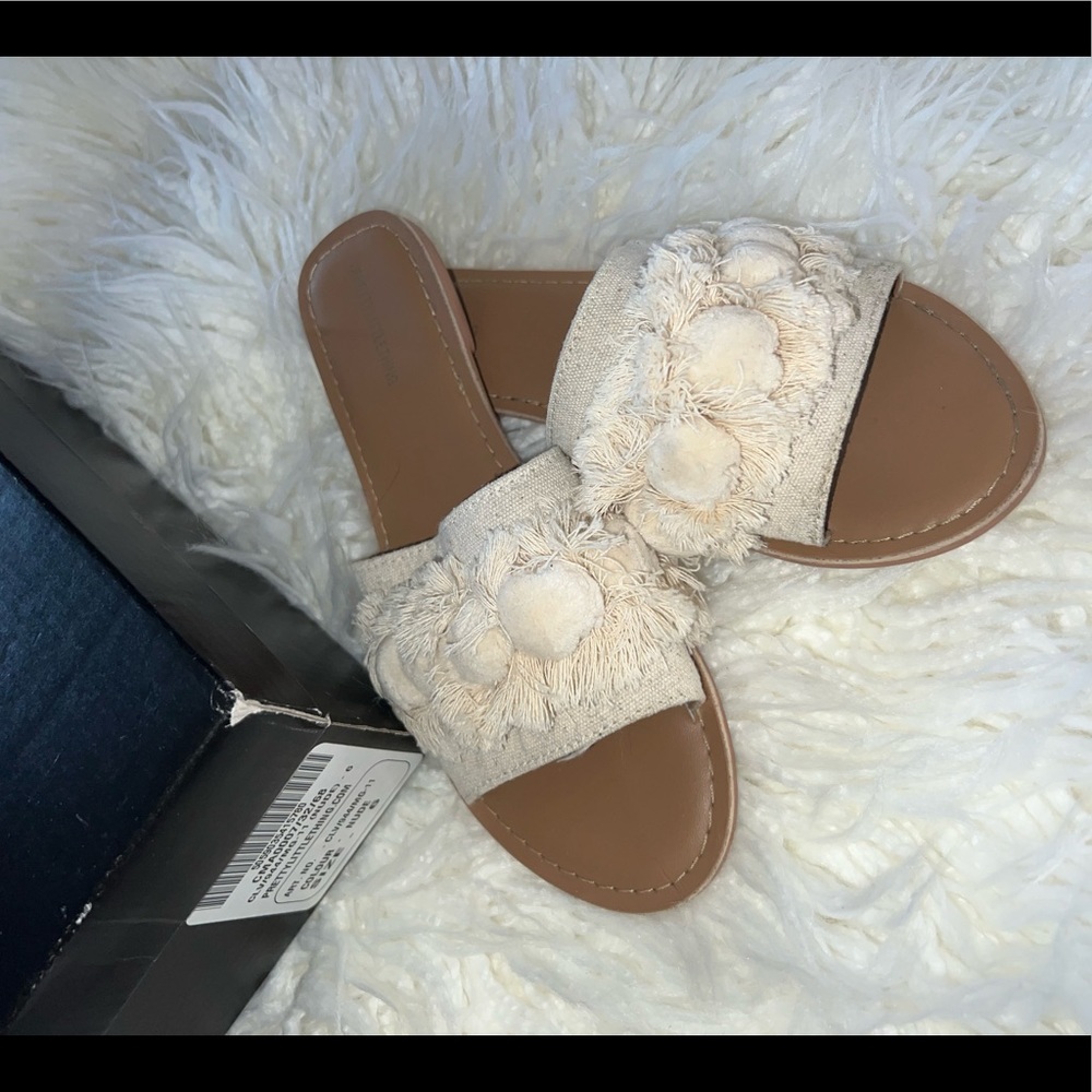 PLT slides